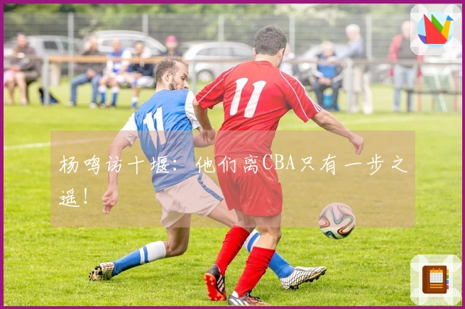 杨鸣访十堰：他们离CBA只有一步之遥！